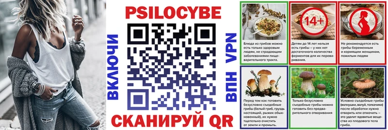 как найти   Кочубеевское  Псилоцибиновые грибы GOLDEN TEACHER 